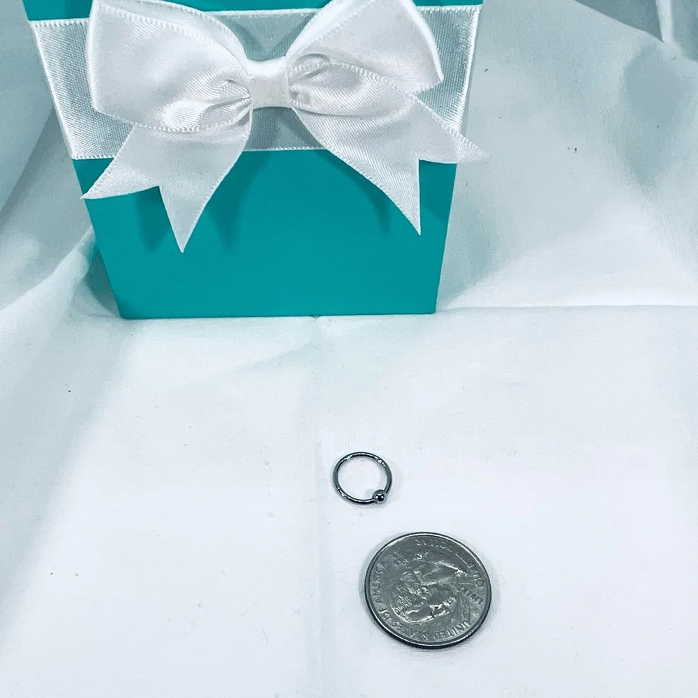 Unisex Silver Nose Lip Ring Earring Accent Ring Streetwear